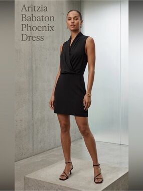 Aritzia Babaton Black Phoenix Mini Crossover top Dress Size 4
